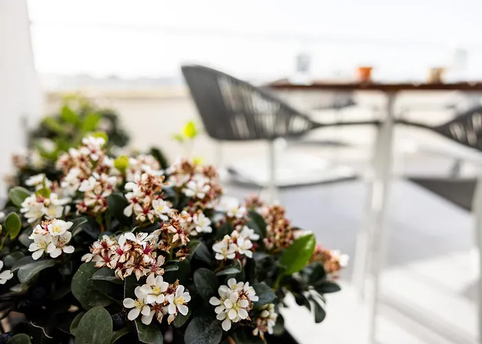 Penthouse With Sunny Terrace דירה