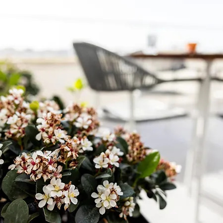 Penthouse With Sunny Terrace Apartament